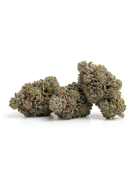 THCX Flower Bullet Kush | Premium Power