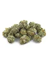 THCX Flower Silver Haze Small Buds main
