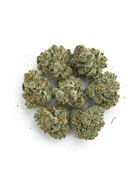 THCX Fleur Silver Haze Small Buds | Premium