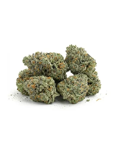 THCX Fleur Silver Haze Small Buds | Premium