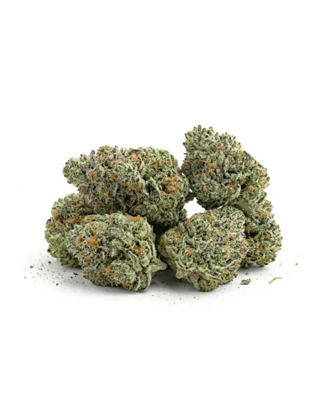 THCX Blüte Silver Haze Small Buds | Premium