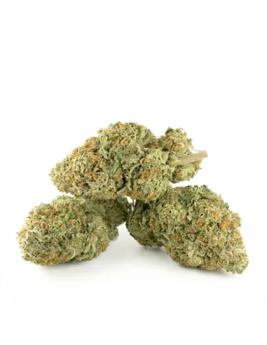 THCX Flower Tropicana