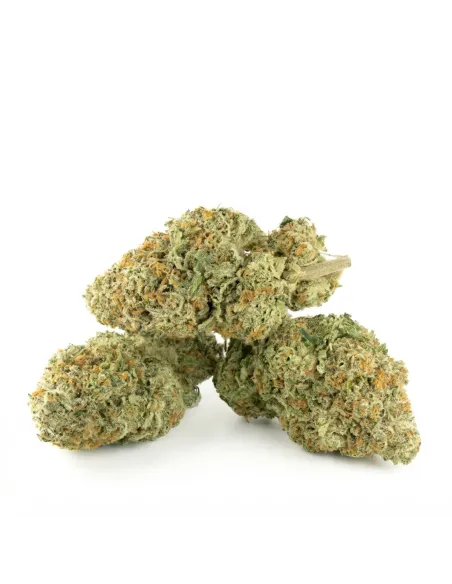 THCX Fleur Tropicana