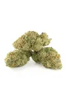 THCX Fleur Tropicana