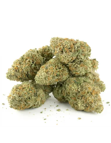 THCX Fleur Tropicana