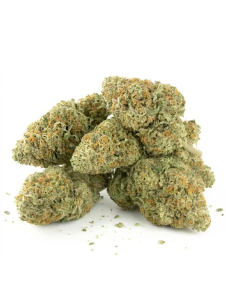 THCX Fleur Tropicana