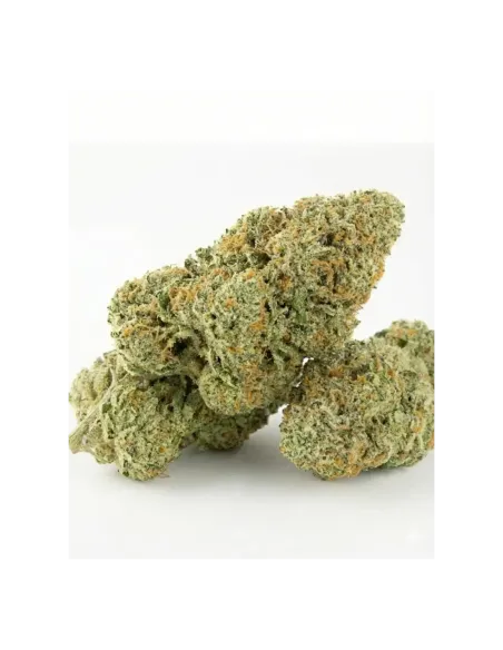 THCX Fleur Tropicana