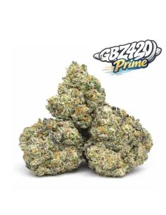 Esclusiva Gbz Prime – THCX Papaya Punch