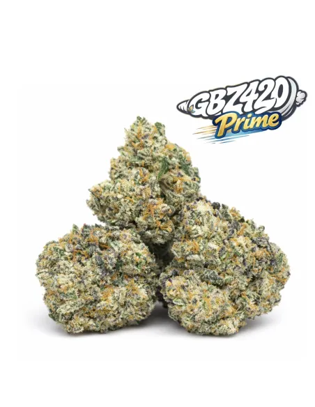 Esclusiva Gbz Prime – THCX Papaya Punch – vista principale
