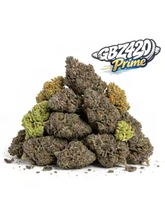 Pack Gbz Prime - Fiori CBD – vista principale
