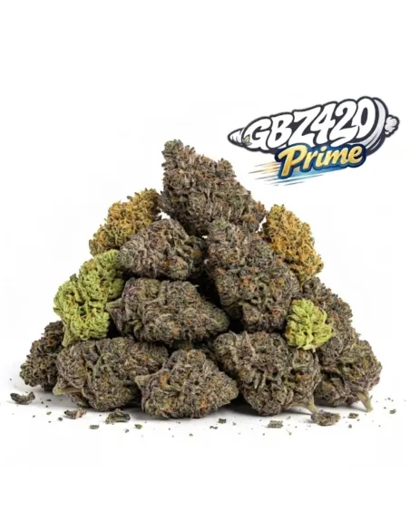 Pack Gbz Prime - Fiori CBD – vista principale