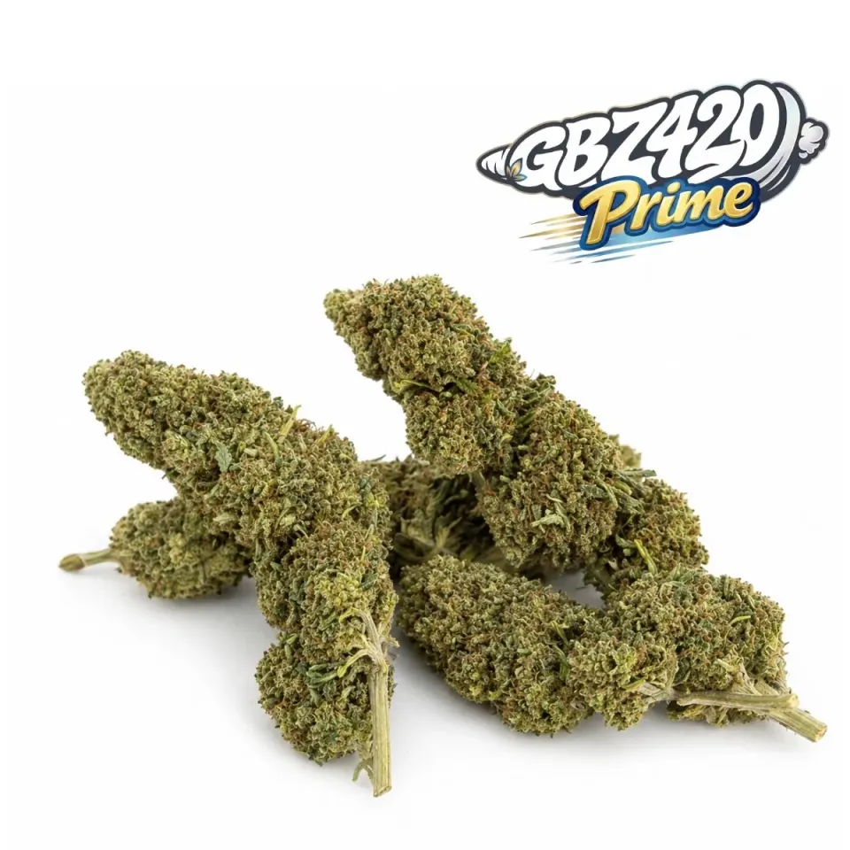 Esclusiva Gbz Prime - Fiore CBD White Melon – vista principale