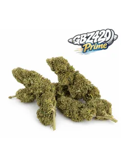 Esclusiva Gbz Prime - Fiore CBD White Melon – vista principale