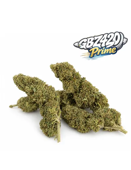 Esclusiva Gbz Prime - Fiore CBD White Melon – vista principale