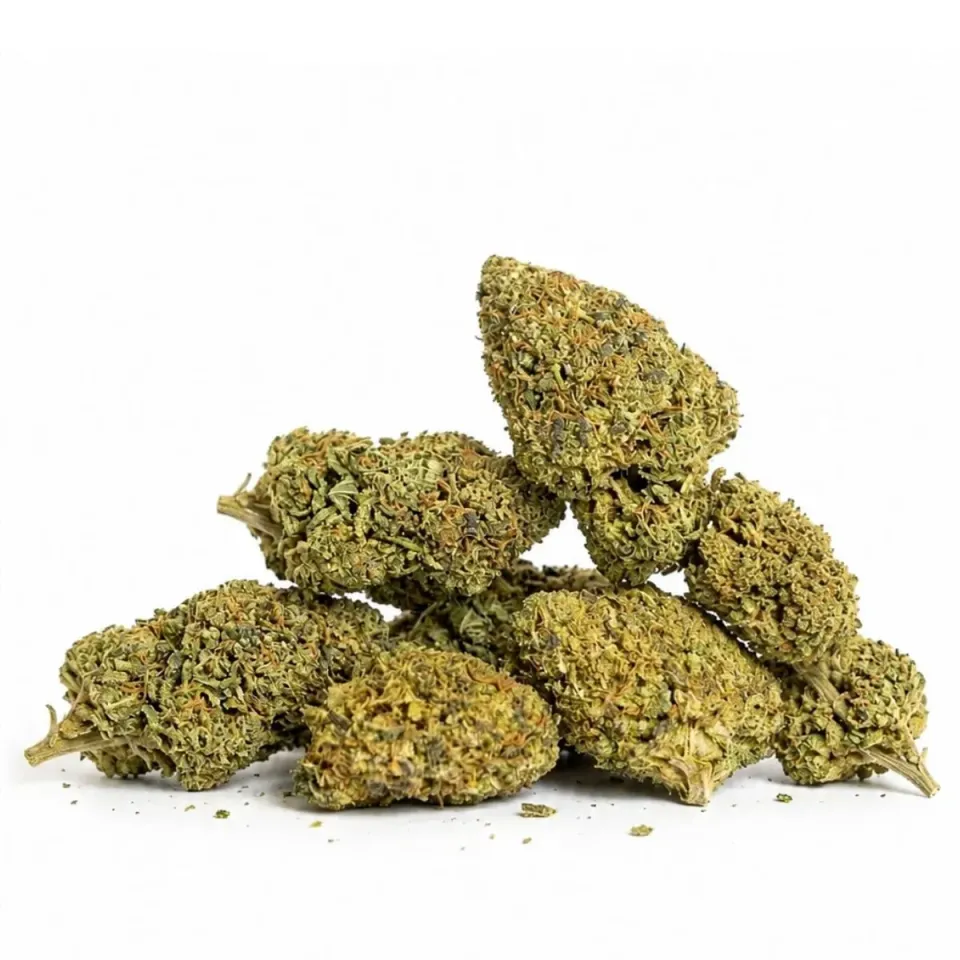 THCX Blüten Girl Scout Cookie – Gbz420 – Hauptansicht