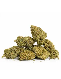 Fiori THCX Girl Scout Cookie