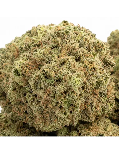 %product-name% closeup fr