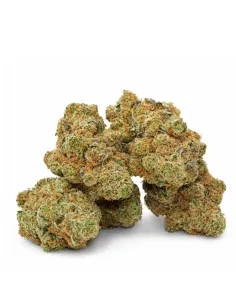 THCX Premium Fiore Snow Cake