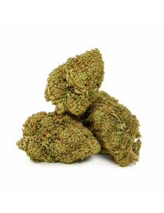 THCX Fiore Atomik Haze