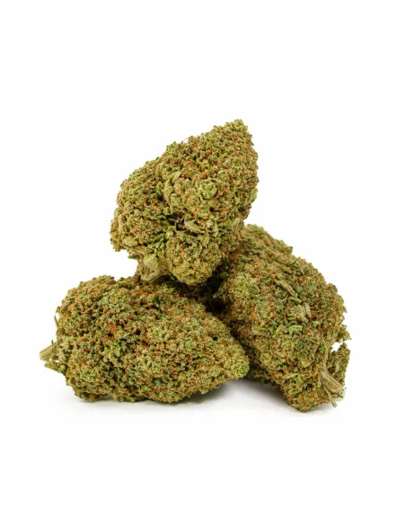 THCX Fiore Atomik Haze – vista principale