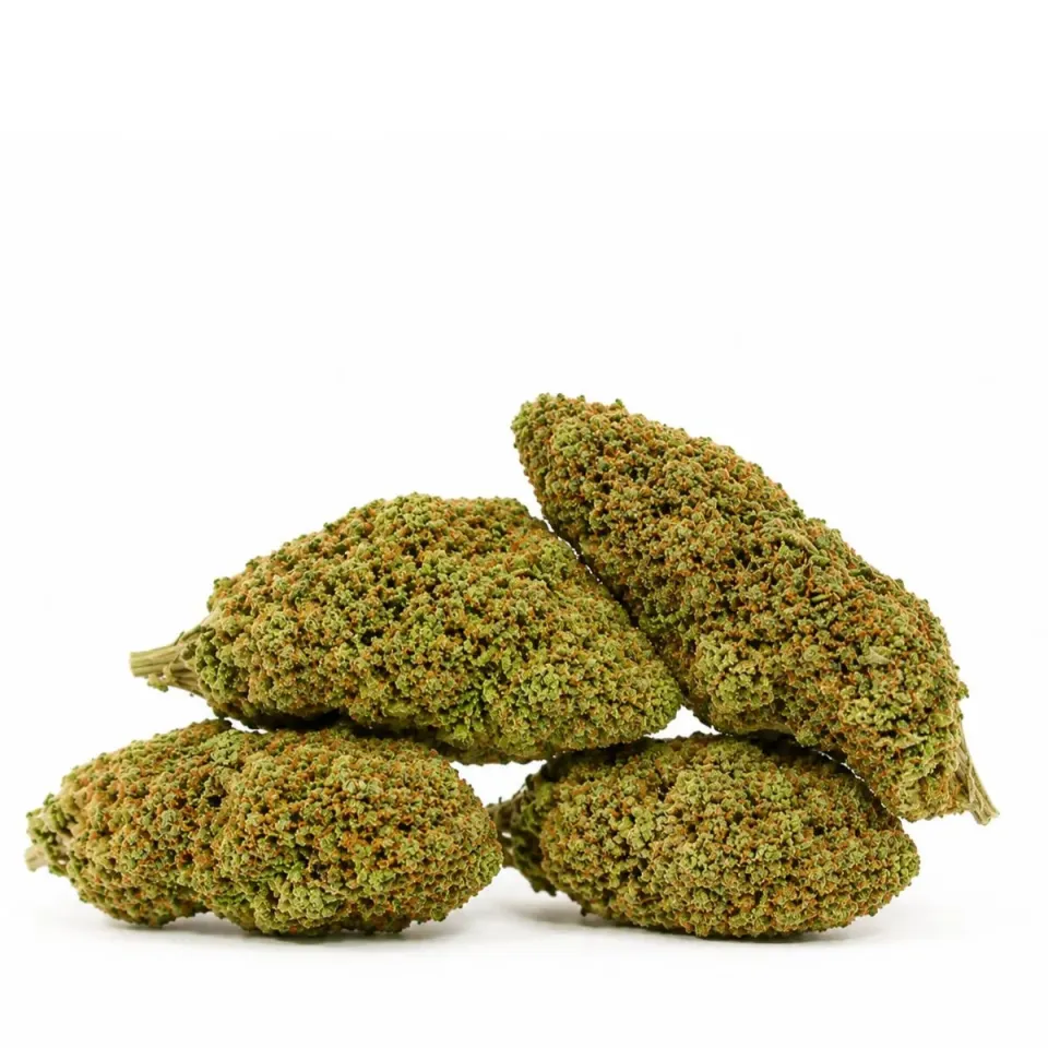 THCX Fiore Atomik Haze – lato