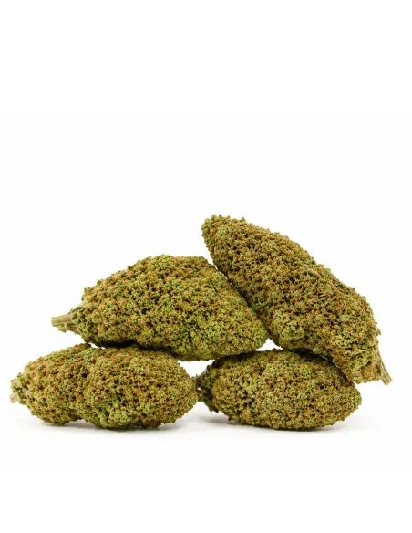 THCX Fiore Atomik Haze – lato