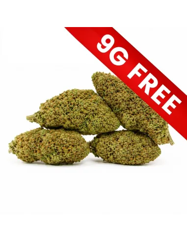 Cadeau Gratuit : Atomik Haze 9G
