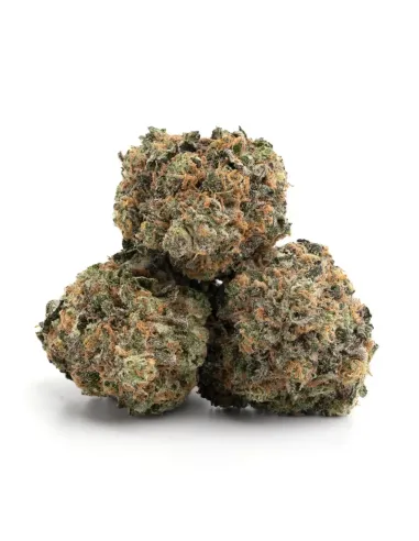 %product-name% Hauptansicht