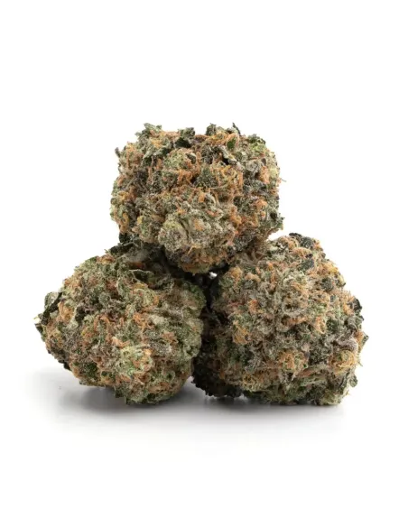 %product-name% principal