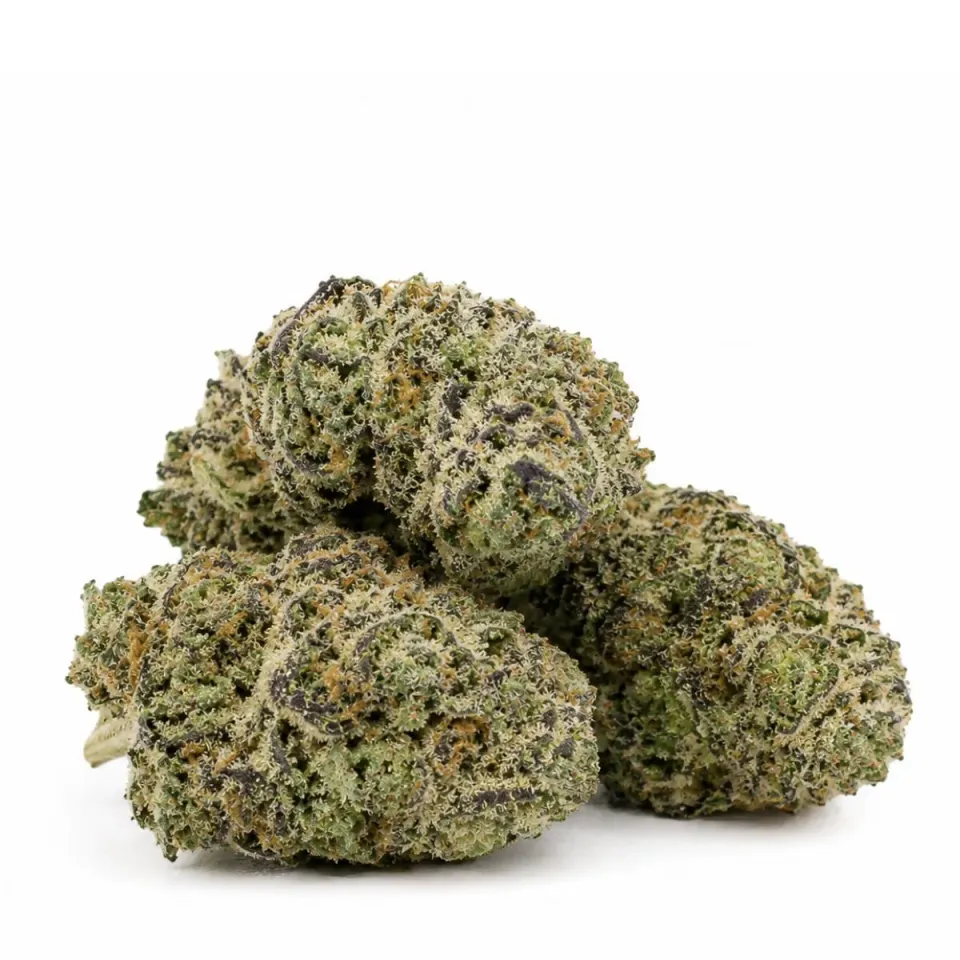 THCX Fiore White Widow – vista principale