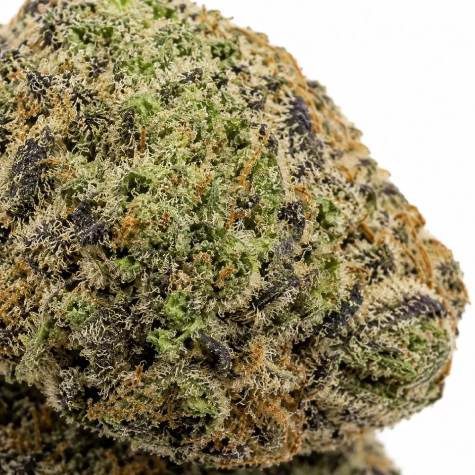 THCX Blumen White Widow – closeup de