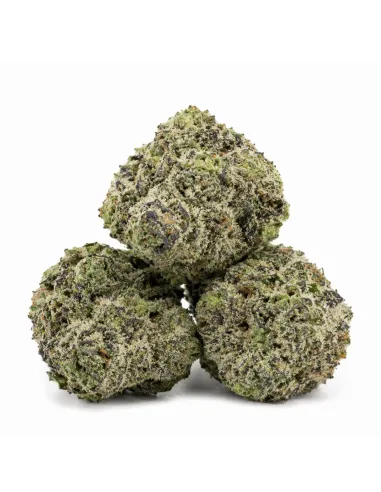 THCX Fleur White Widow – côté