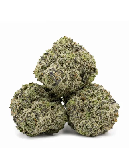 THCX Flower White Widow – side en