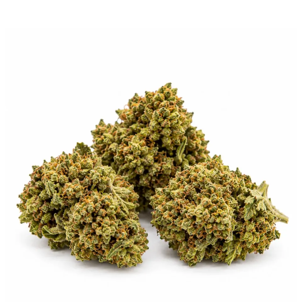 10-OH-HHC Fiore Gorilla Glue Small Buds – alternativa