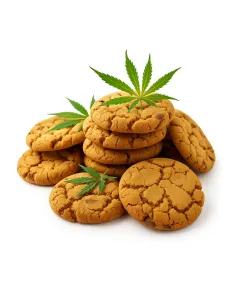 %product-name% principal