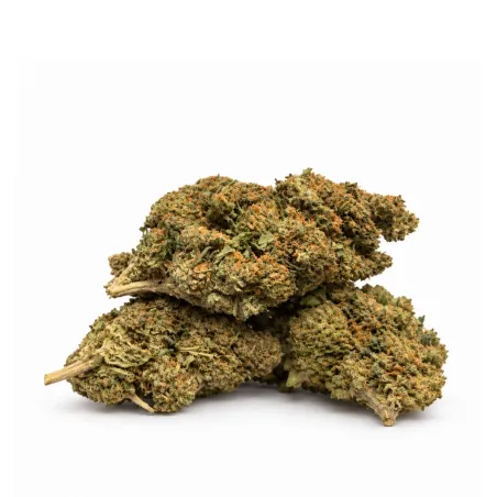 GBZ+ Flower Orangelo