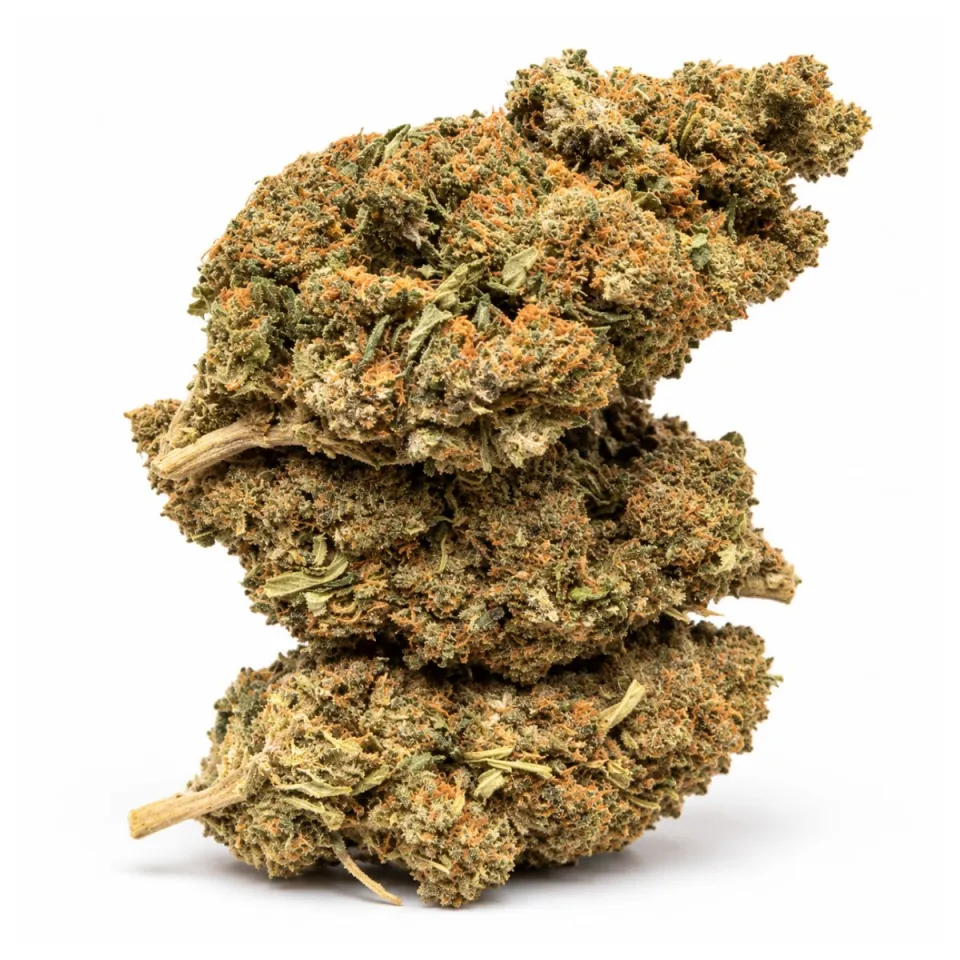GBZ+ Flower Orangelo