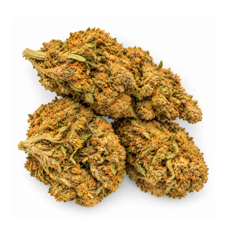 Exclusive GBZ PRIME - 10-OH-HHC Flower Sweet Purple