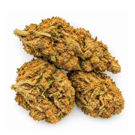 Exclusive GBZ PRIME - 10-OH-HHC Flower Sweet Purple