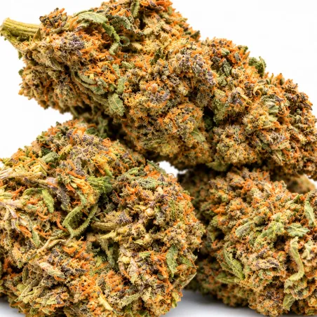 Exclusive GBZ PRIME - 10-OH-HHC Flower Sweet Purple