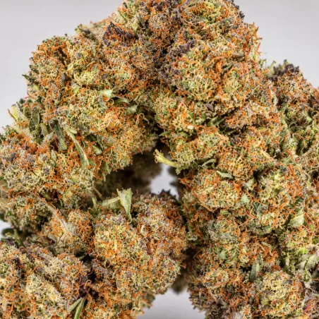 THCX Premium Flower OG Kush