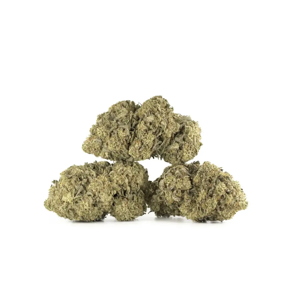 Amnesia CBD Blüten – Indoor Cannabis – Hauptansicht