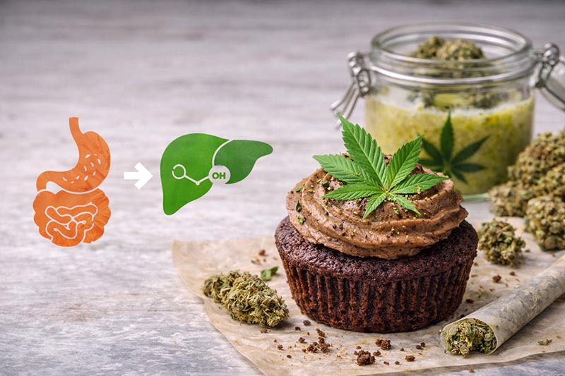 Qu'est ce qu'un space cake